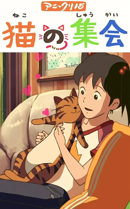亚洲精品不卡午夜精品